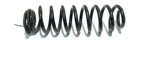 Toyota RAV 4 (XA50) Rear coil spring 4823142590 24112