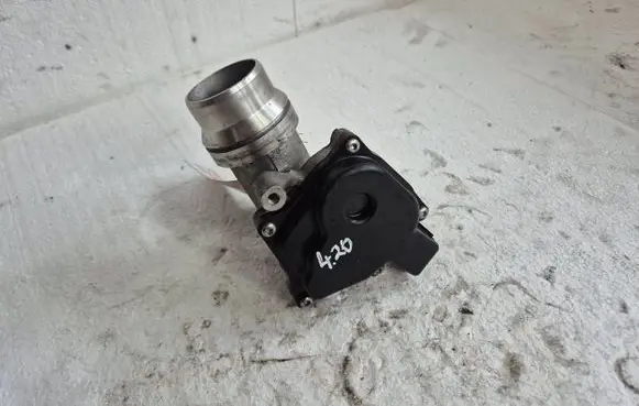 Renault Megane III Throttle valve 8200614985