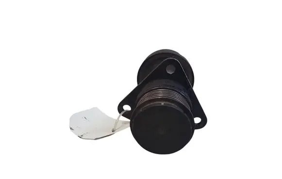 Ford Focus Alternator pulley 