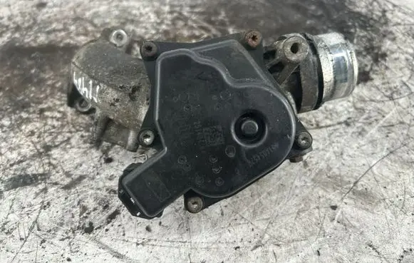 Dacia Logan Pick-Up Throttle body valve 161A05457R