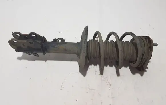 Toyota C-HR I Front shock absorber/damper 48520F9020