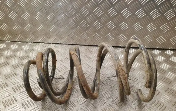 Front coil spring