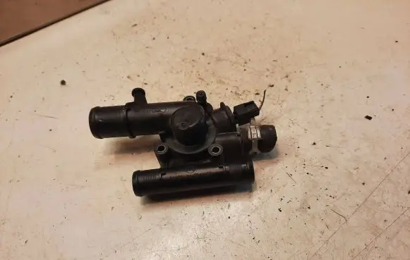 Thermostat/thermostat housing