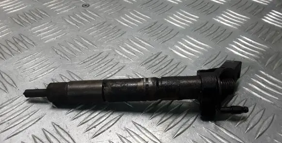 Mercedes-Benz R W251 Fuel injector 0445115027 A6420700587