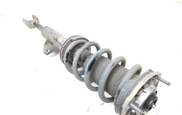 Alfa Romeo Stelvio Front shock absorber with coil spring 50553436 814904013154 000662368