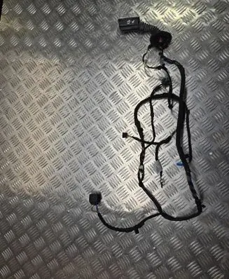 BMW X2 F39 Rear door wiring loom 19344411