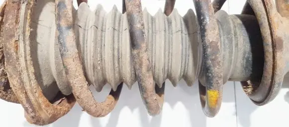 Land Rover Freelander Front coil spring
