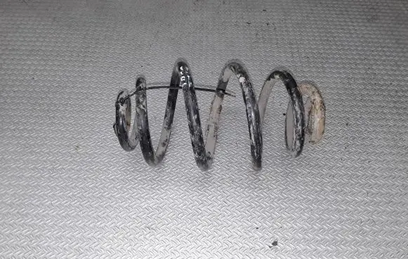 Volkswagen PASSAT B5 Rear coil spring
