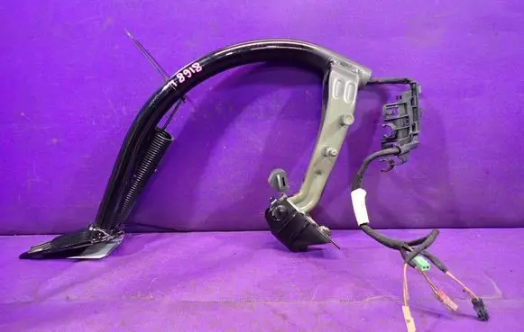 Volkswagen PASSAT CC Tailgate/trunk/boot hinge 3C8827301A
