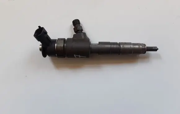 Citroen C4 II Picasso Fuel injector 0445110566