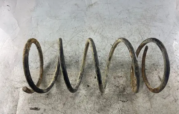 Mitsubishi Pajero Sport I Rear coil spring