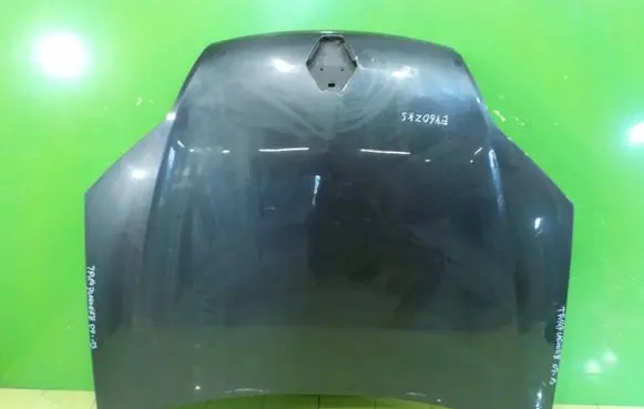 Renault Laguna III Engine bonnet/hood TP147