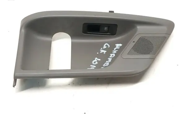 Other rear door trim element