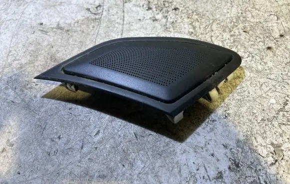 Ram 1500 Panel trim 6TZ94TRMAA 58363D