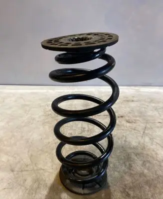 Rear coil spring