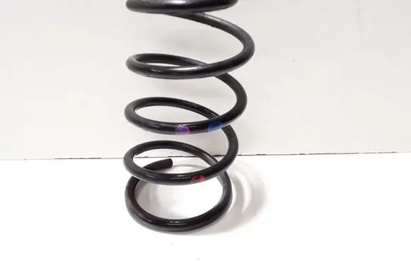 Front coil spring