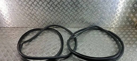 Toyota C-HR I Front door rubber seal