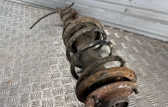 Hyundai Santa Fe Front shock absorber/damper