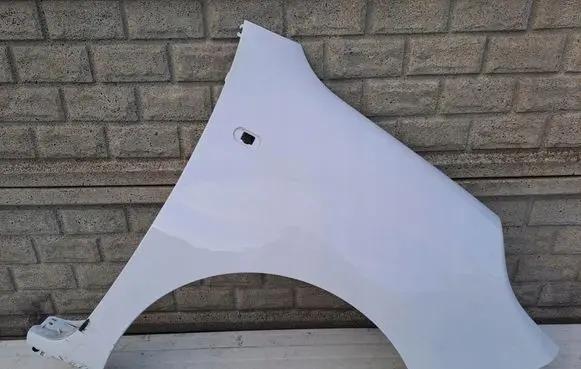 Renault Kangoo II Front wheel arch liner splash guards