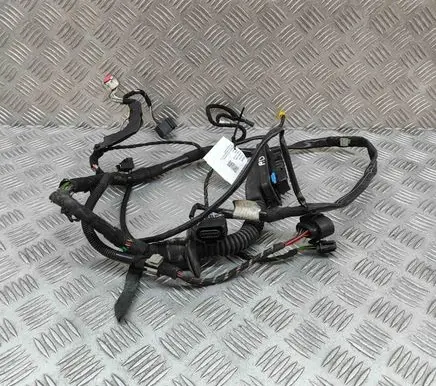 Front door wiring loom
