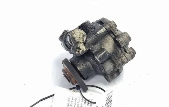 Volkswagen Phaeton Power steering pump 3D0422154F