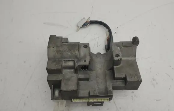 Steering wheel lock
