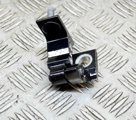 Rear door lower hinge
