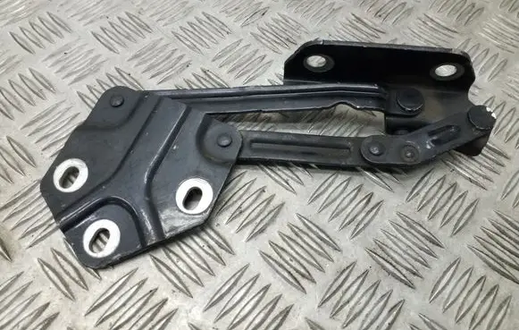 Volkswagen Touran I Tailgate/trunk/boot hinge 1T0823302