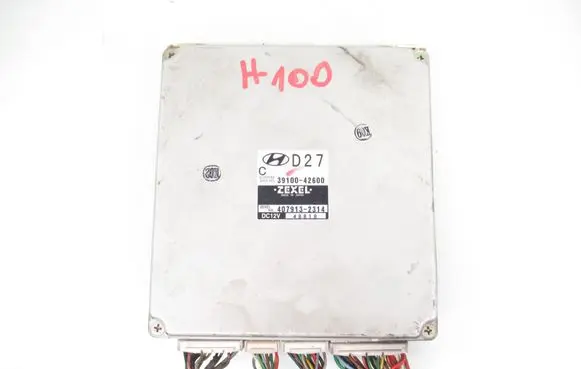 Hyundai H-100 Engine control unit/module 4079132314 3910042600