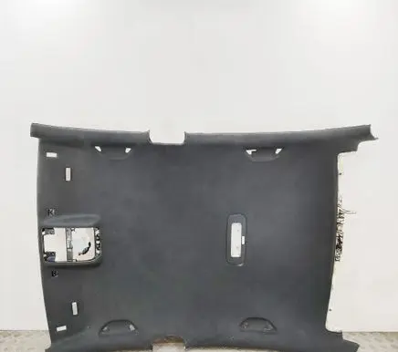 Volkswagen PASSAT B7 Headlining 3AE867501
