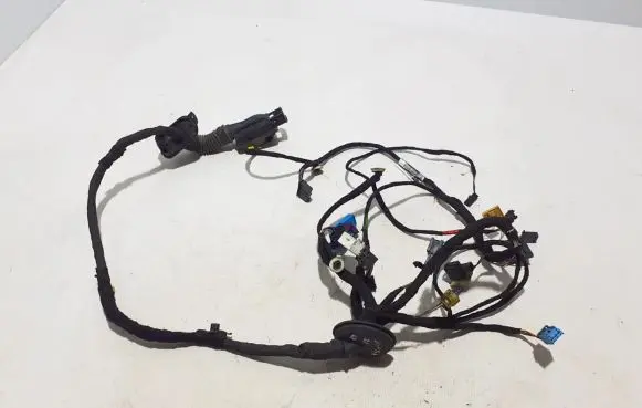 Cupra Formentor Other wiring loom 5FG971120S
