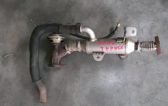 Citroen Xsara EGR valve cooler POZOSTAE