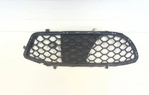 Alfa Romeo Giulia Front bumper lower grill 156119501