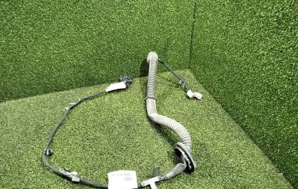 Rear door wiring loom