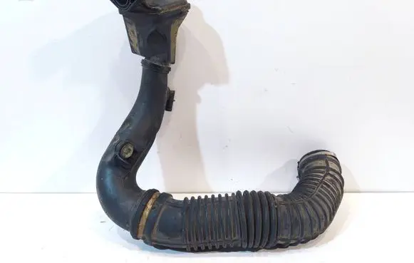 Intake resonator