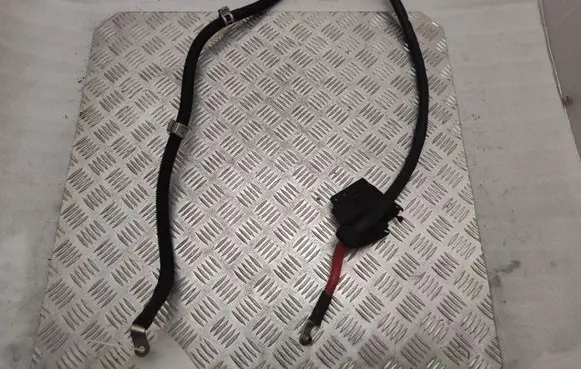 Mercedes-Benz S C217 Wires (starter motor) 