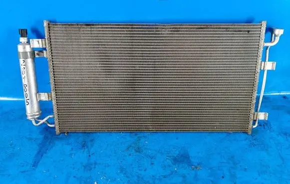 Nissan Leaf I (ZE0) Air conditioning (A/C) radiator (interior) 921003NF0A