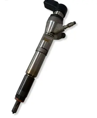 Nissan Qashqai Fuel injector H8201100113 166006212R