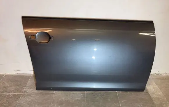Volkswagen Jetta V Front door
