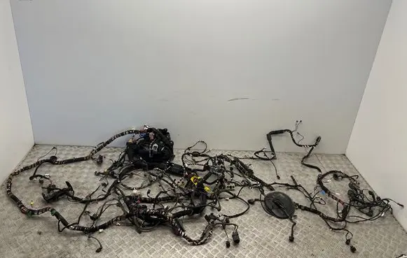 Volkswagen Golf VIII Other wiring loom 5WA927902K 5H1971147BE 5WA937615A