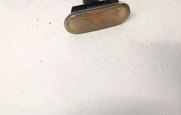 Front fender indicator light