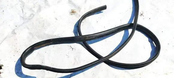 Dacia Sandero Rubber seal front coupe door