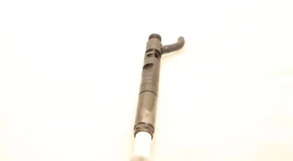 Renault Kangoo II Fuel injector 28237259