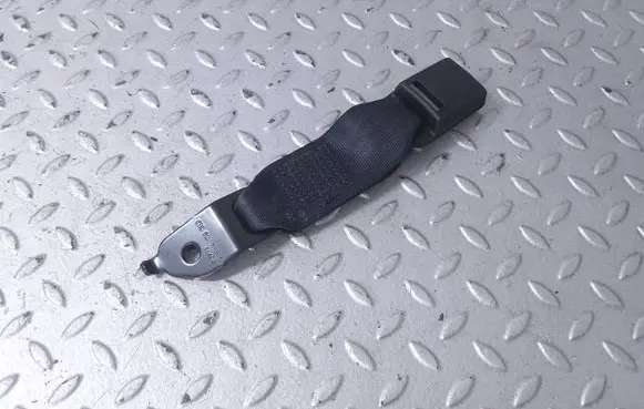 Middle seatbelt buckle (rear)