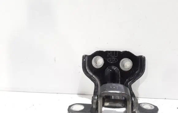 KIA Sorento Rear door lower hinge
