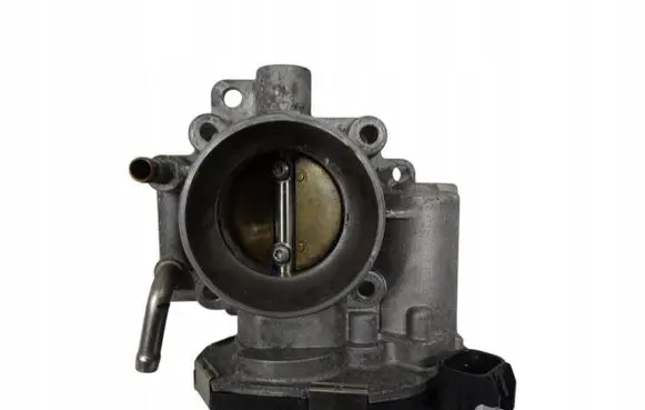 Throttle body valve