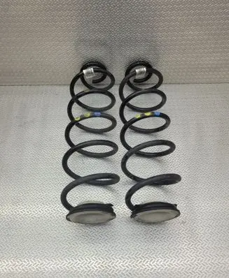 Rear coil spring