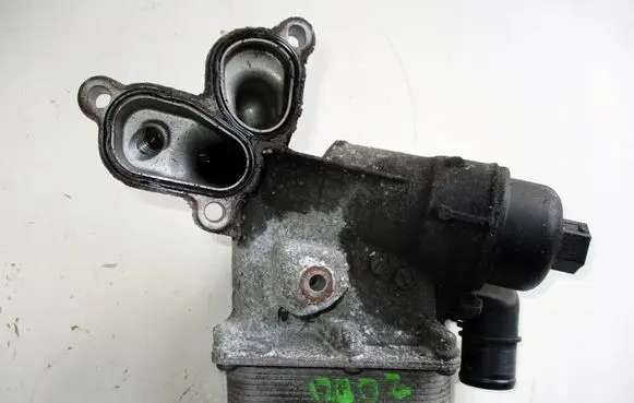 Renault Laguna III Oil filter mounting bracket