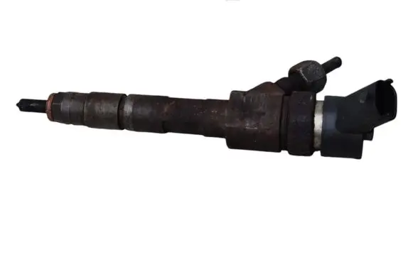 Renault Kangoo II Fuel injector 0445110146 8200238528