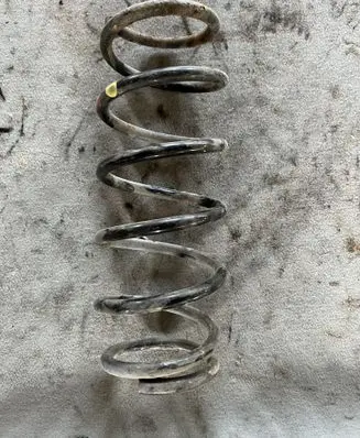 Rear coil spring